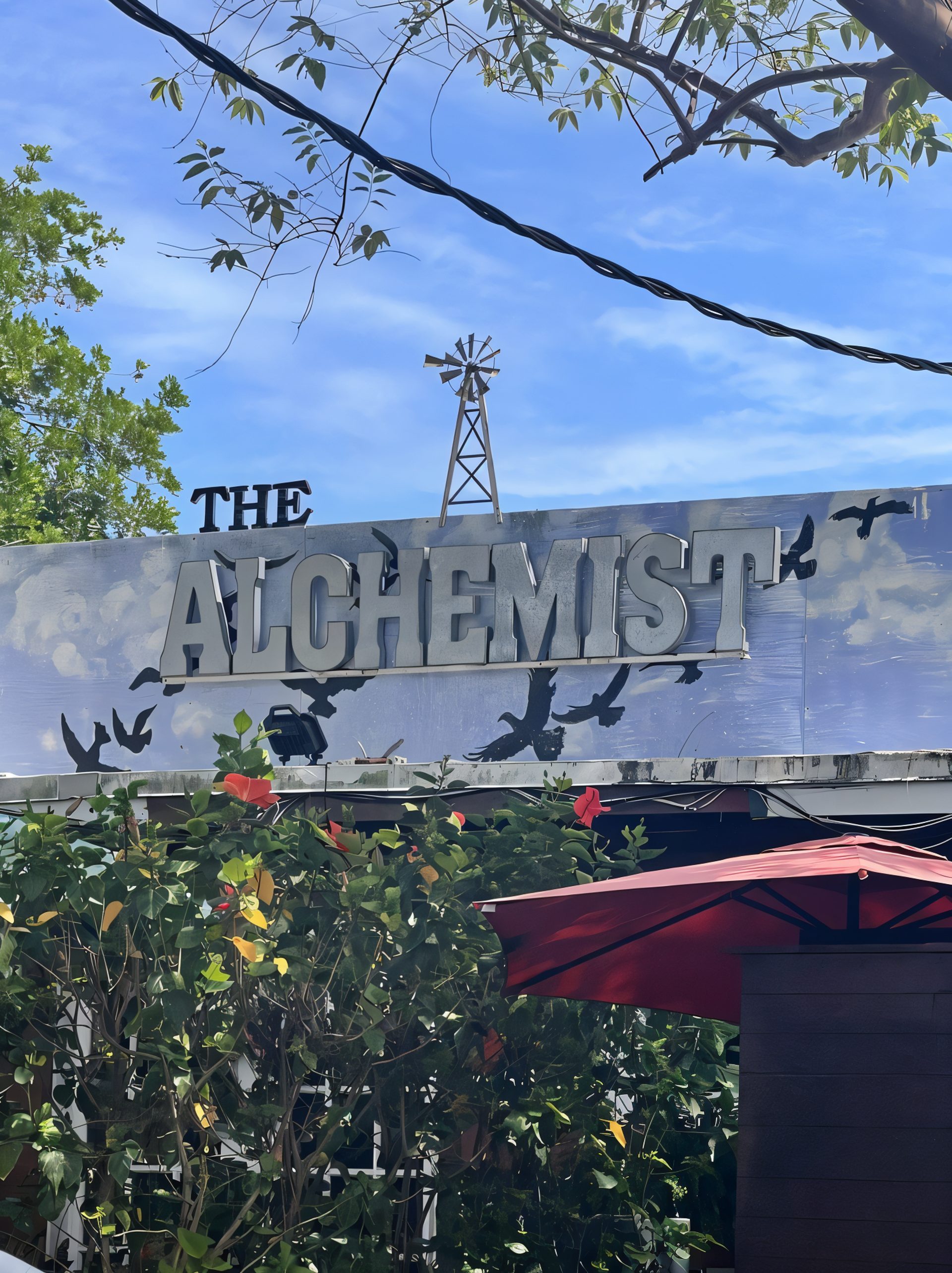 Welcome to The Alchemist Café
